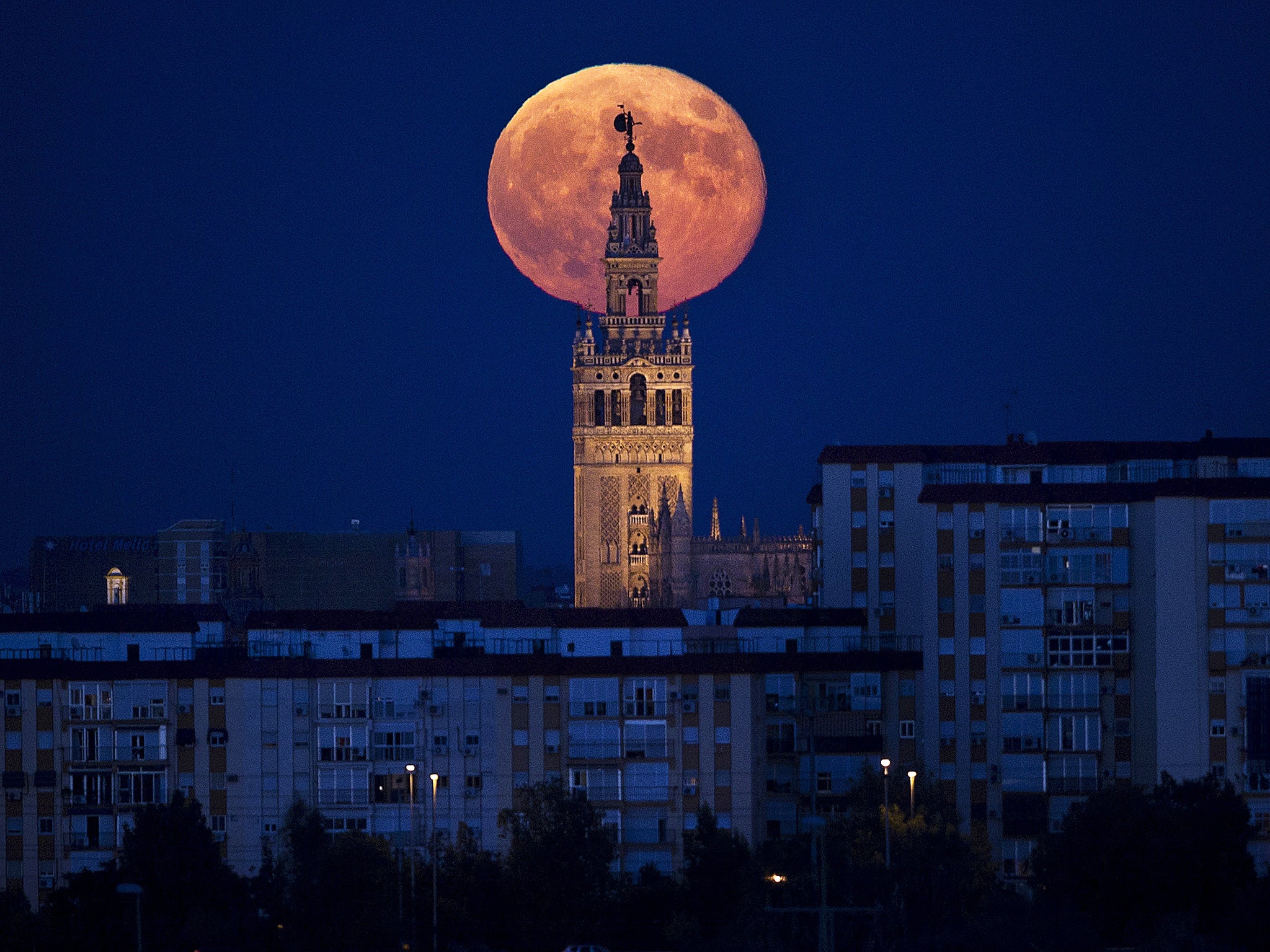 The moon rises over the Giralda, the tower of Seville's Cathedral 