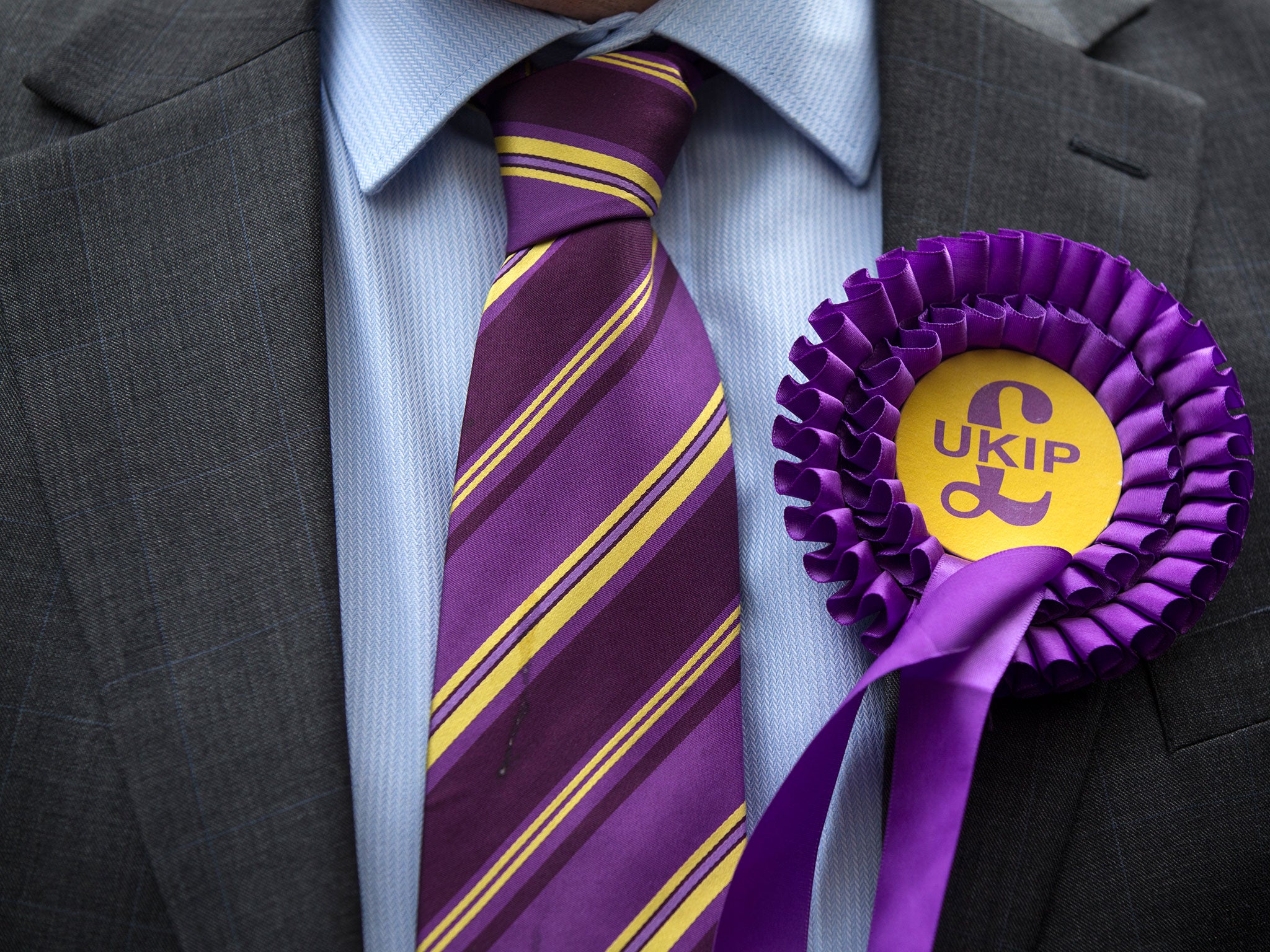 A supporter of the UK Independence Party (UKIP) wears a UKIP tie and rosette.