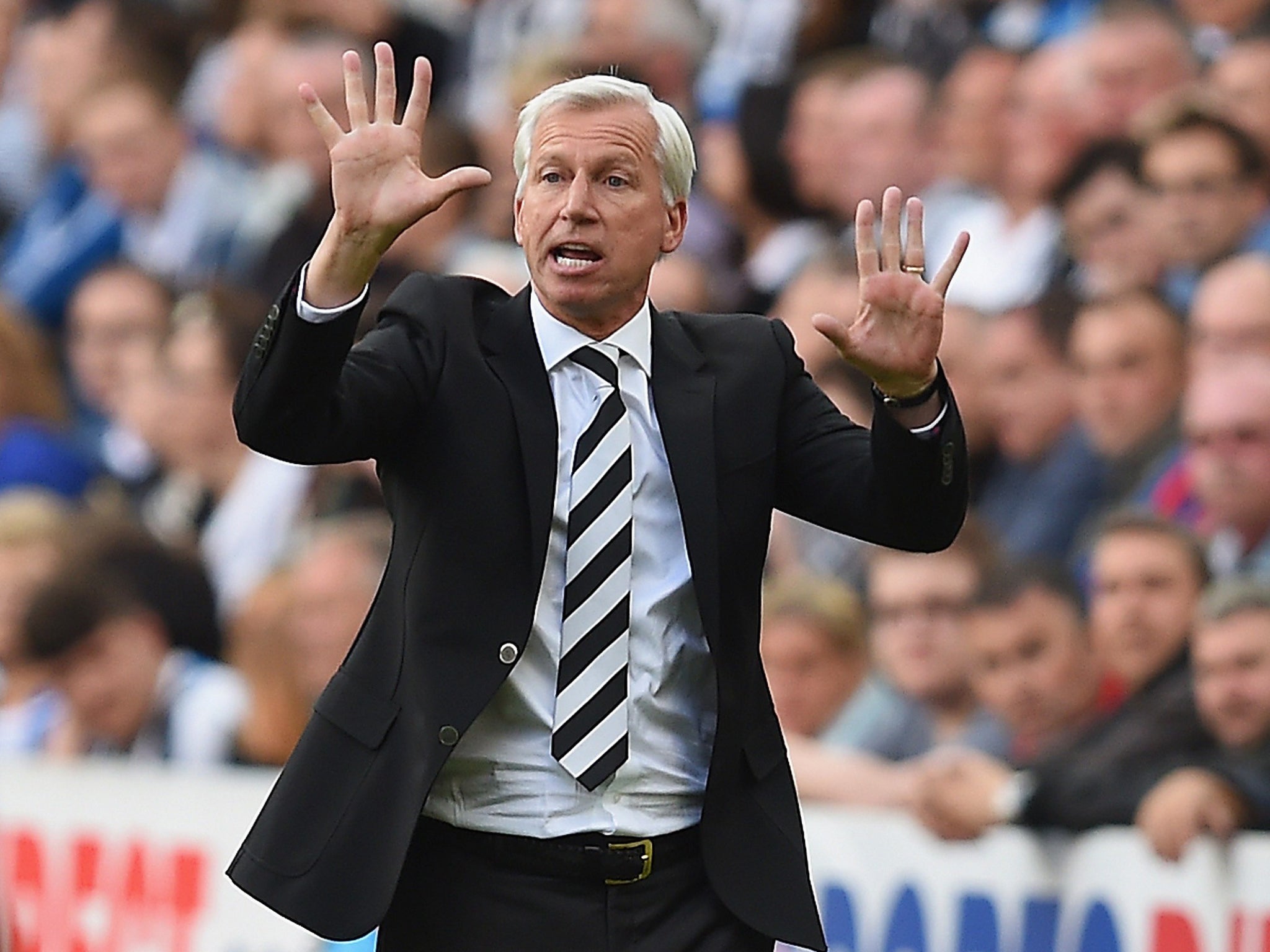 Alan Pardew makes a gesture from the touchline