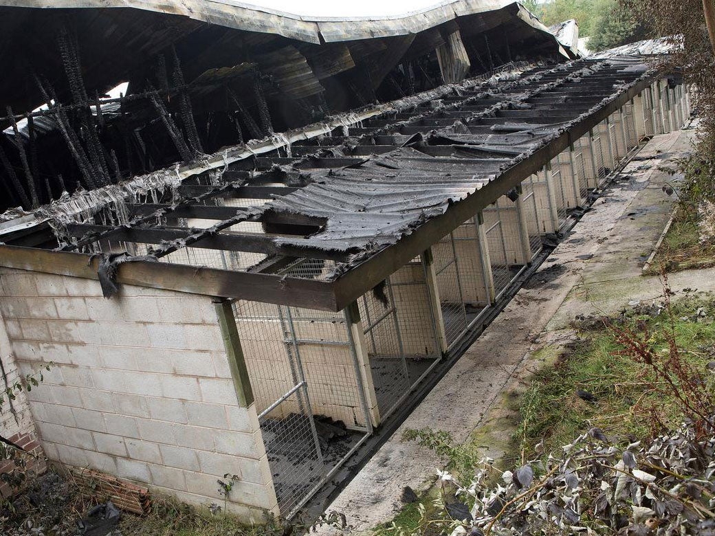 The gutted kennels at Manchester Dogs' Home after the fire that killed more than 50 dogs