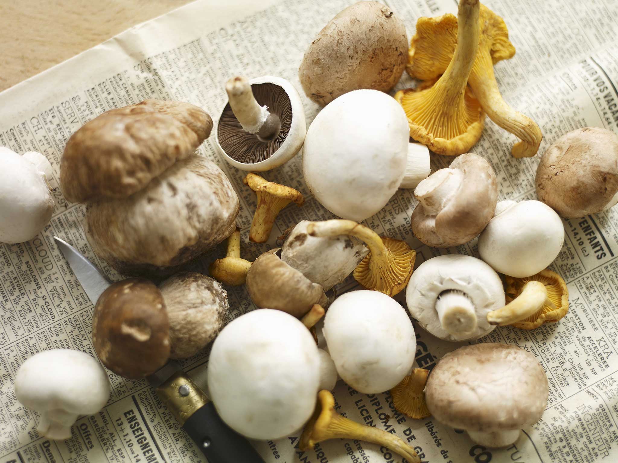 Можно есть грибы при похудении