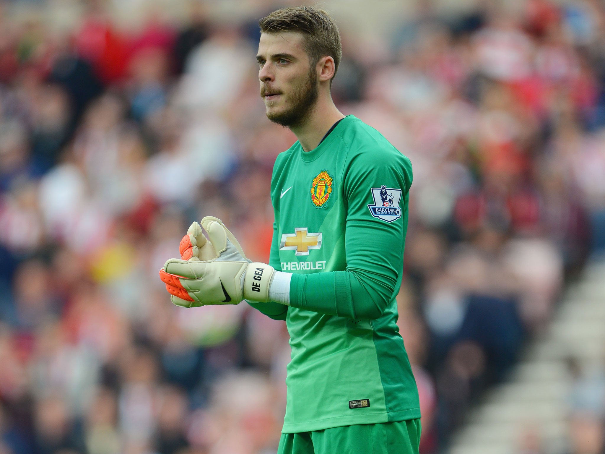 David De Gea in action