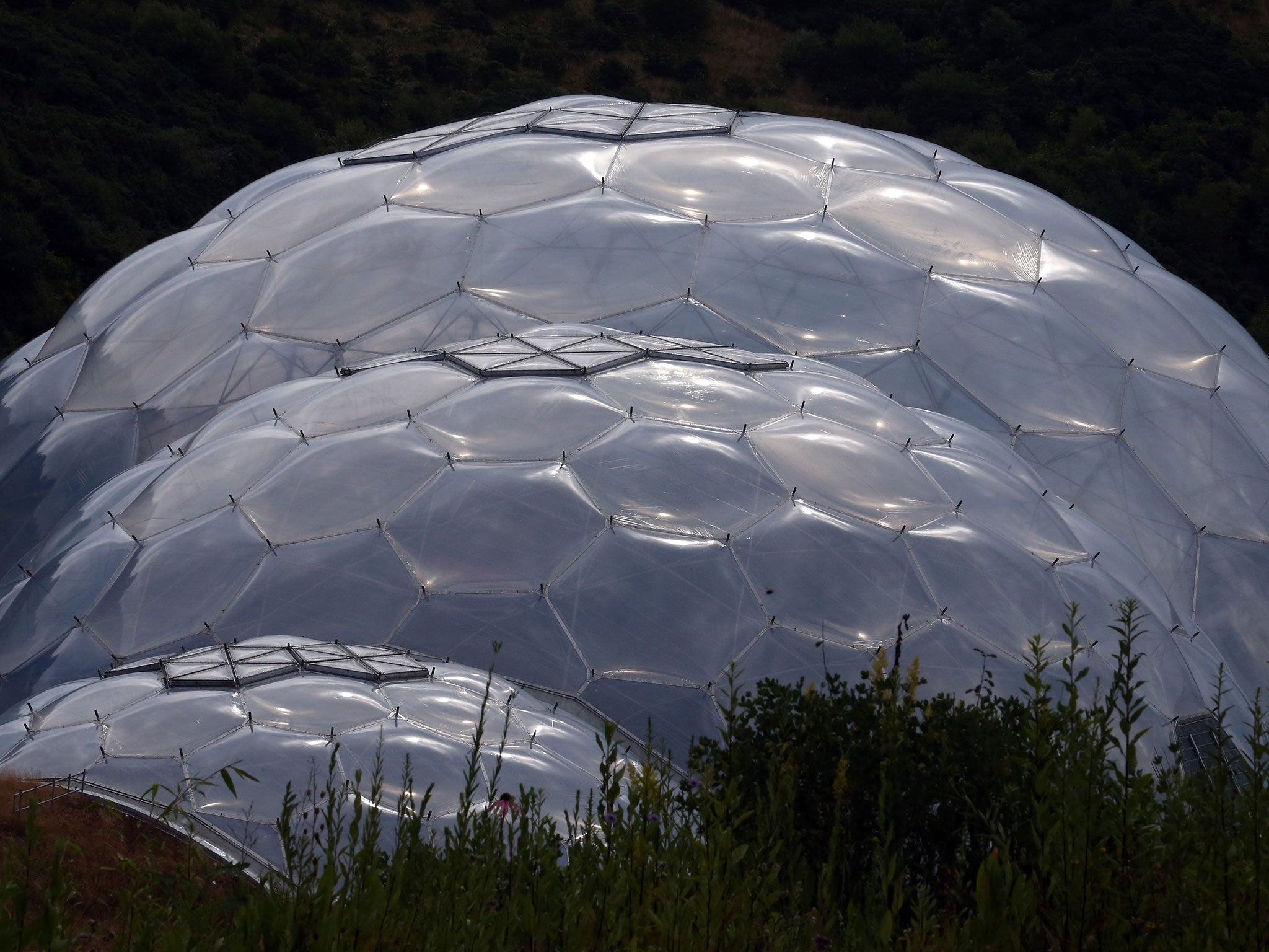 The Eden Project of exotic ecosystem-domes in Cornwall and hopes to prompt a 'tipping point' in climate action