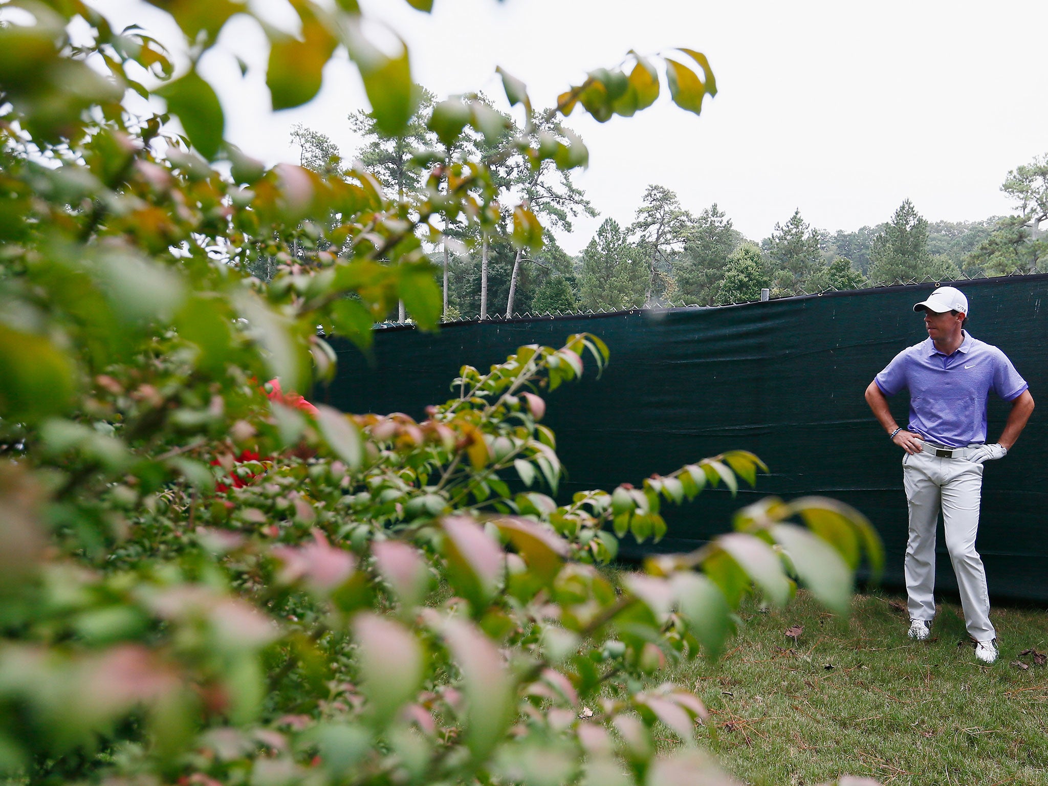 Rory McIlroy searches for his ball after hitting a wayward drive during the final round of the Tour Championship