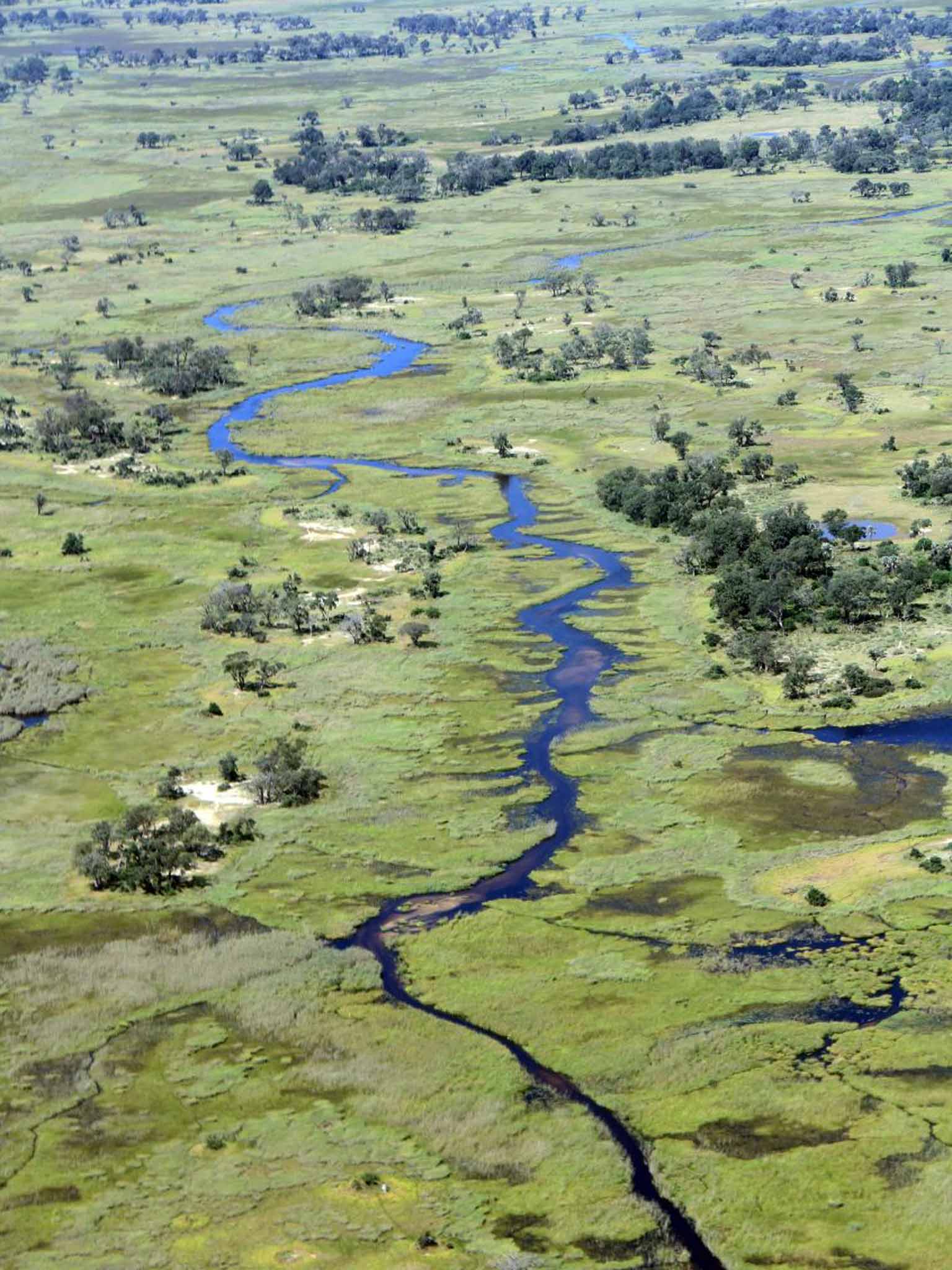 Okavango Delta