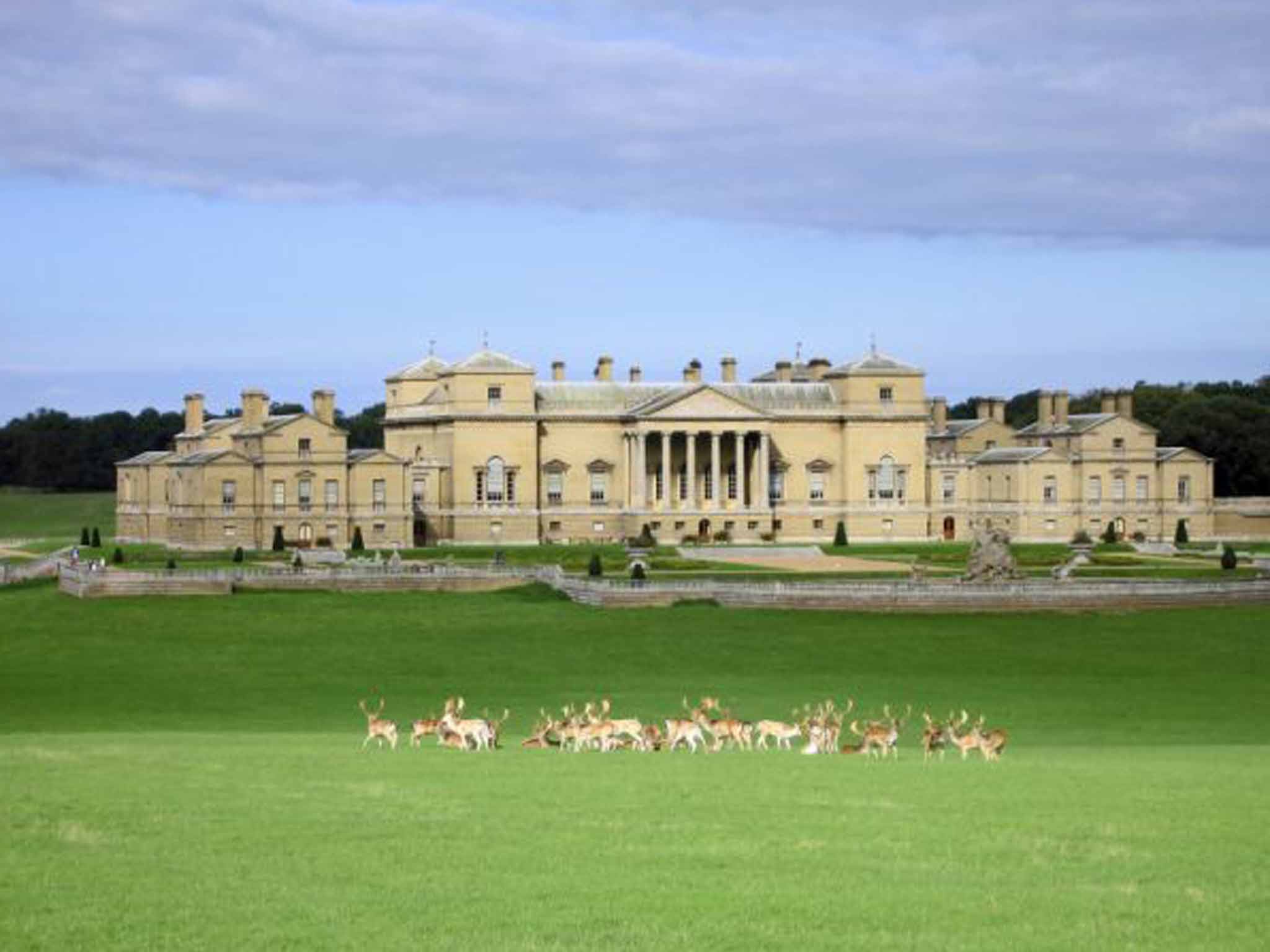 Following the herd: Deer in the grounds of Holkham Hall
