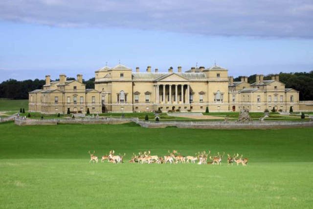 Following the herd: Deer in the grounds of Holkham Hall