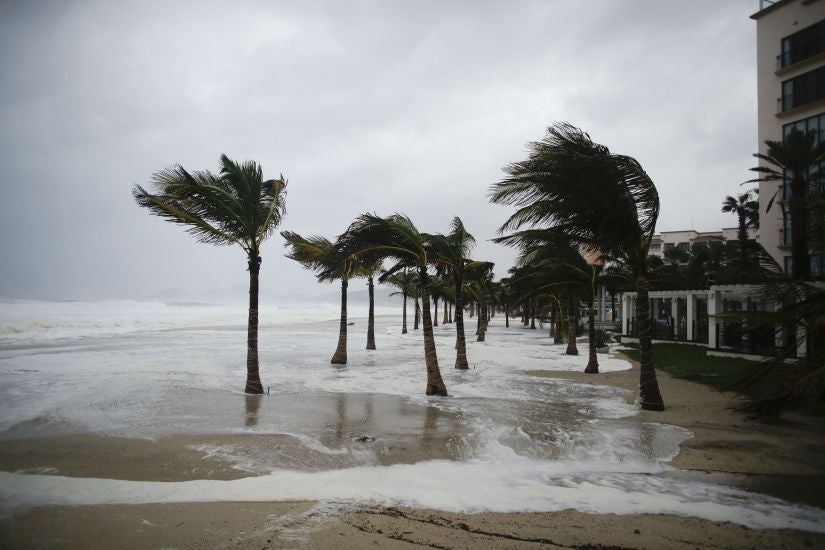 Winds blow palm trees on the beach in Los Cabos, Mexico on Sunday