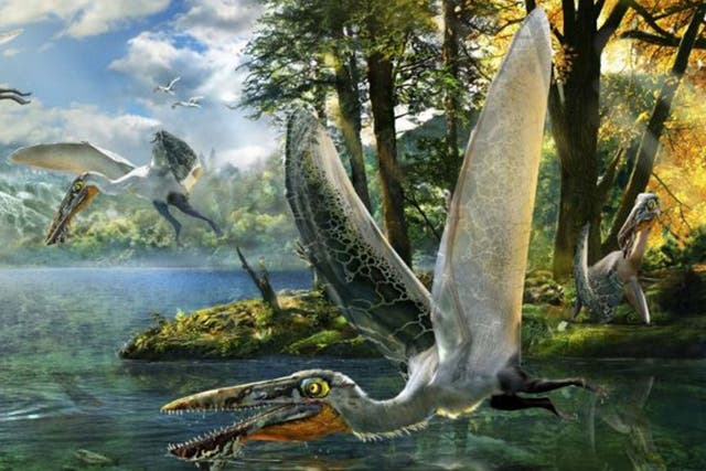 The ecological reconstruction of Ikrandraco avatar is shown in this illustration courtesy of Chuang Zhao. Scientists on September 11, 2014 announced the discovery of fossils in China of a type of flying reptile called a pterosaur that lived 120 millions y