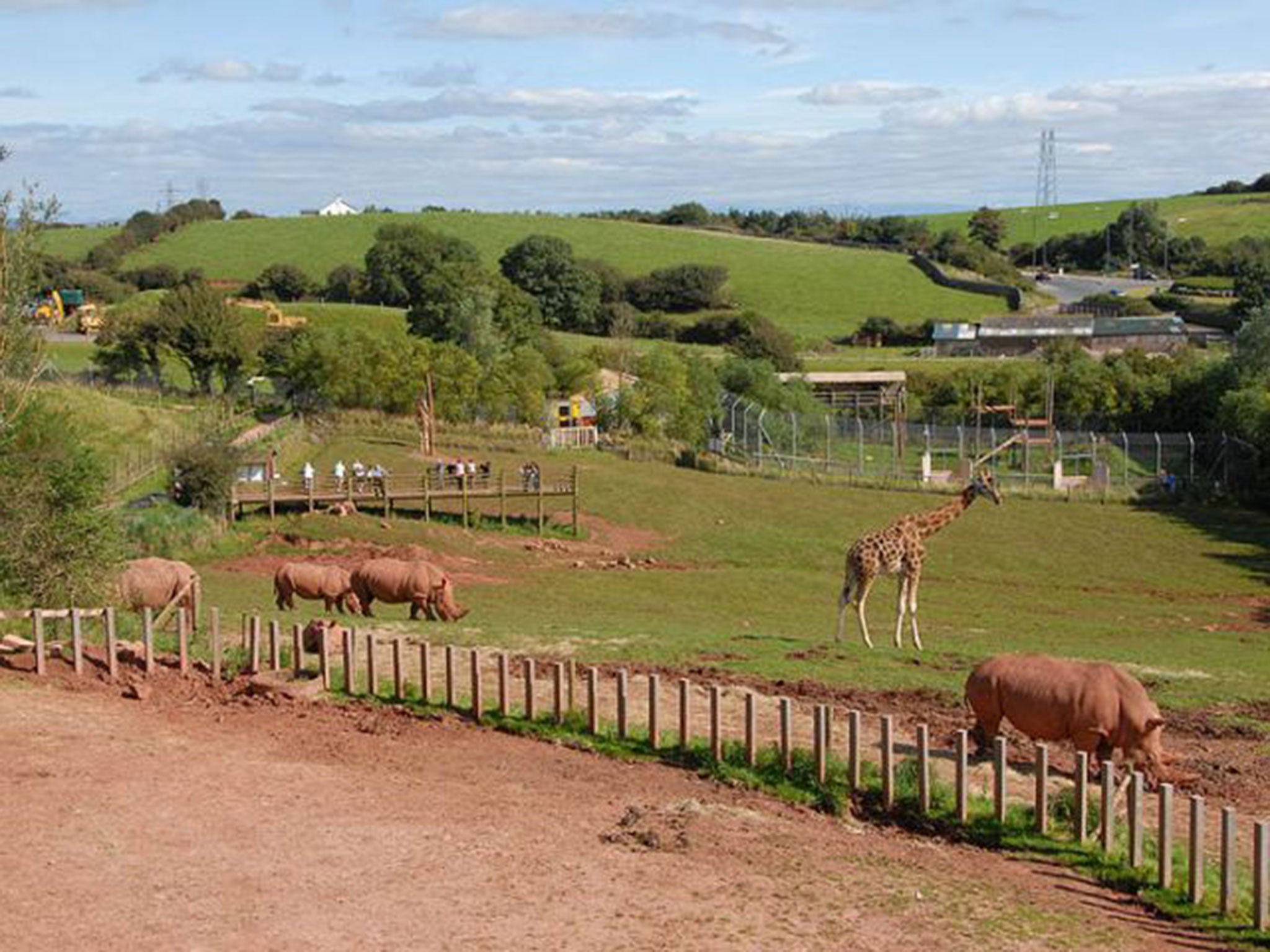 Sarah McClay was attacked by the tiger at the South Lakes Wild Animal Park in Dalton-in-Furness