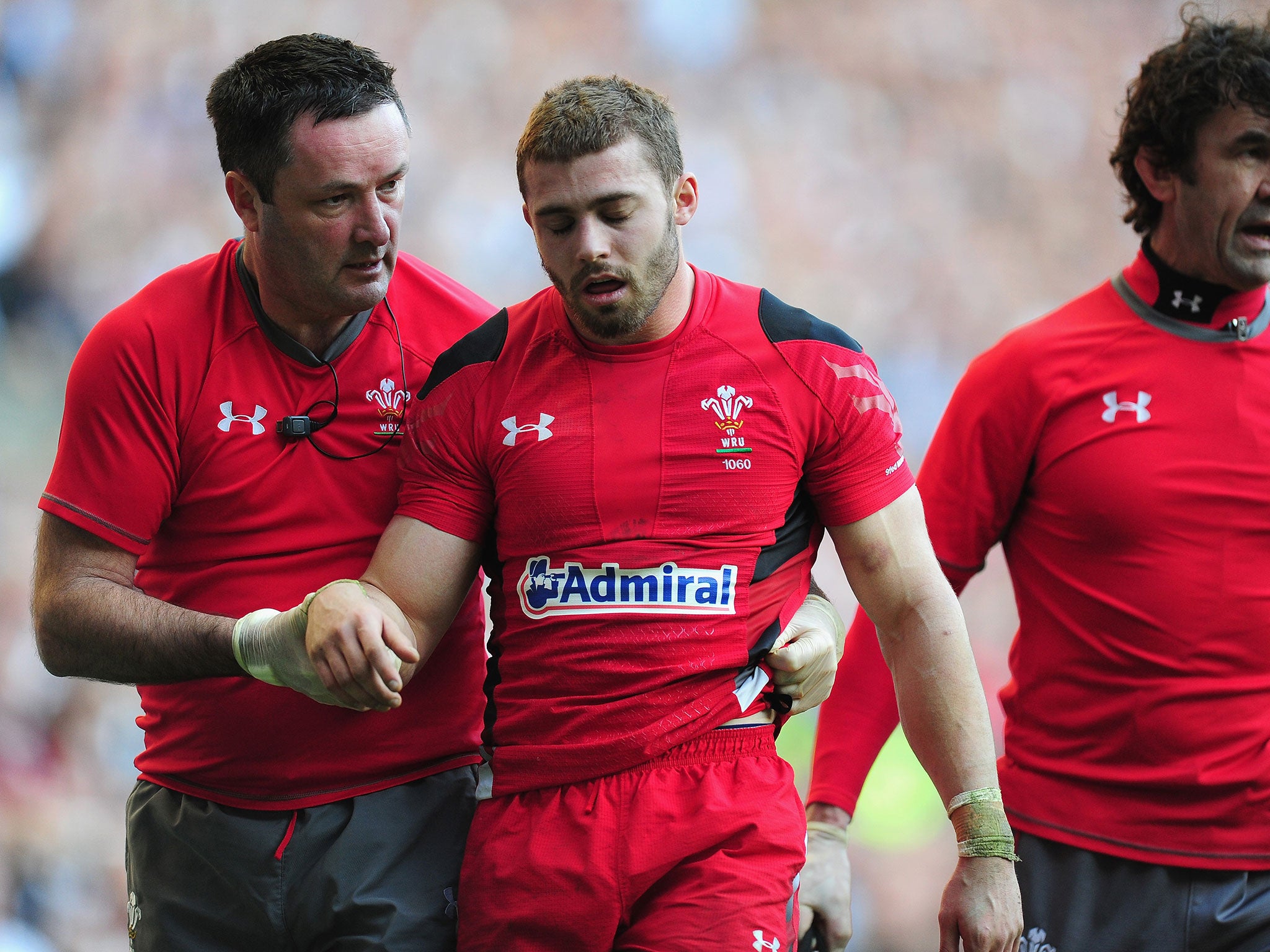 Wales full-back Leigh Halfpenny