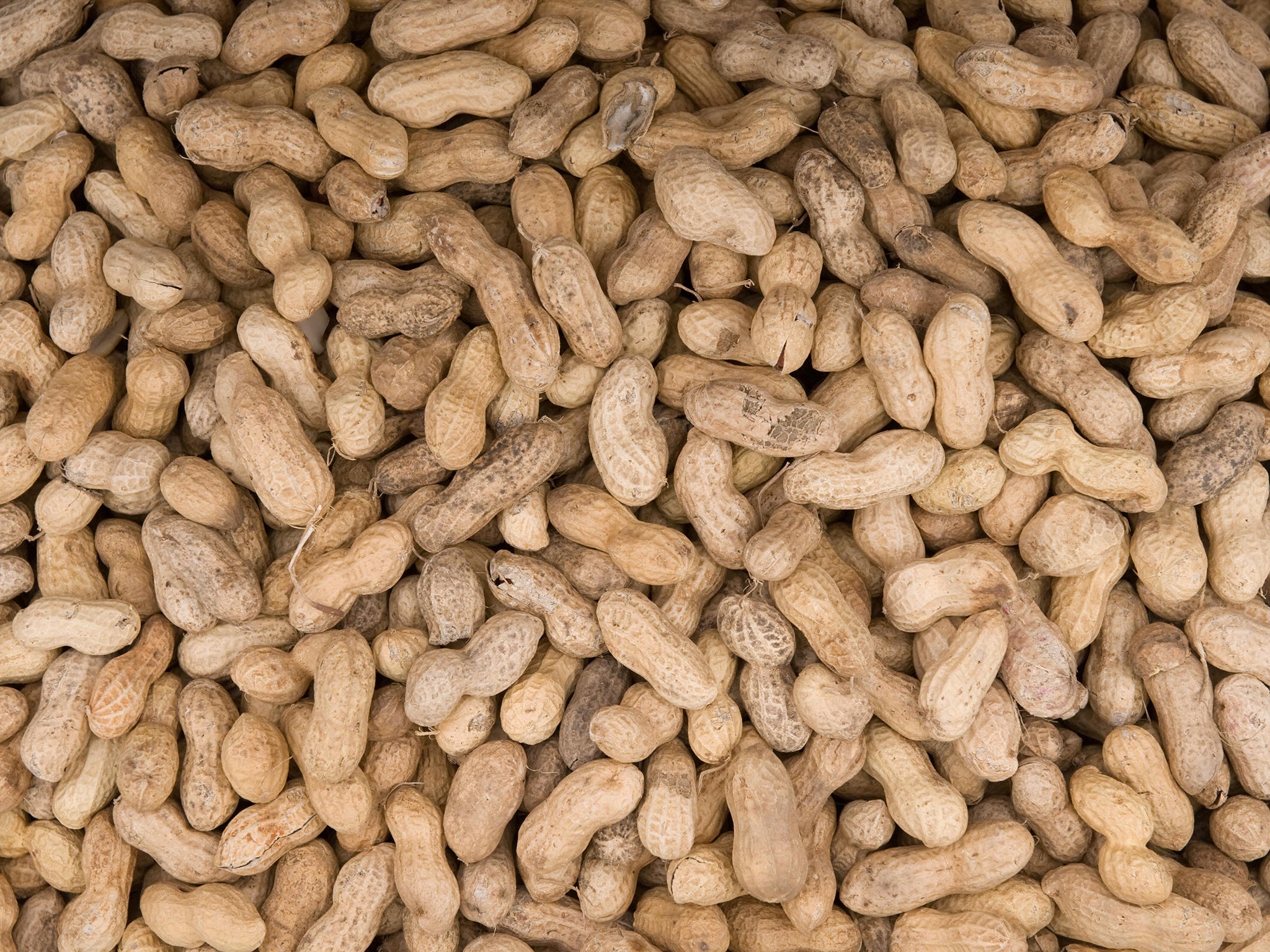 Britain's peanut allergy sufferers have been put on high alert
