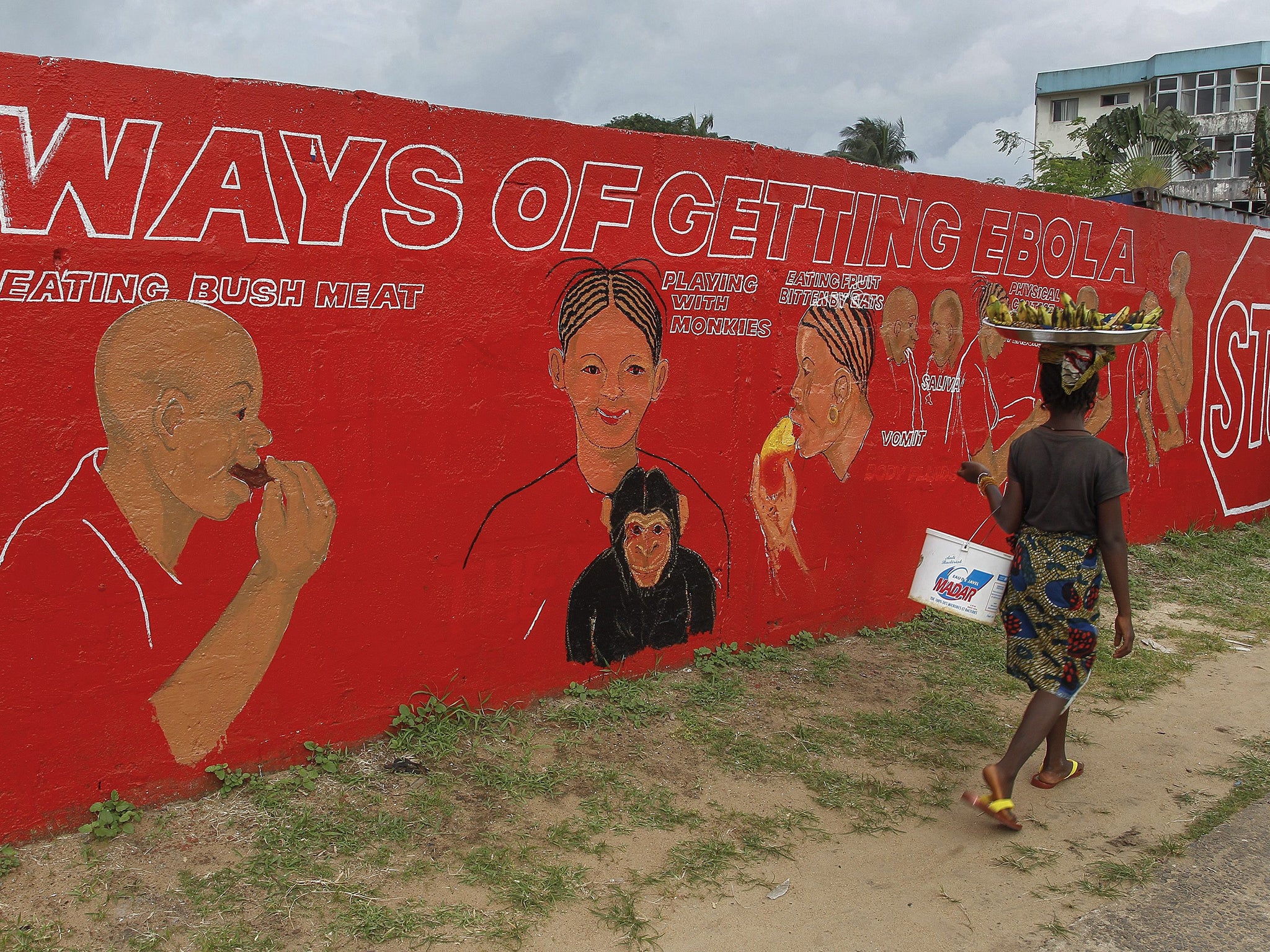 In Monrovia a woman walks past a mural used by the Liberian authorities to alert the
public to the risks of Ebola – including a warning not to play with monkeys