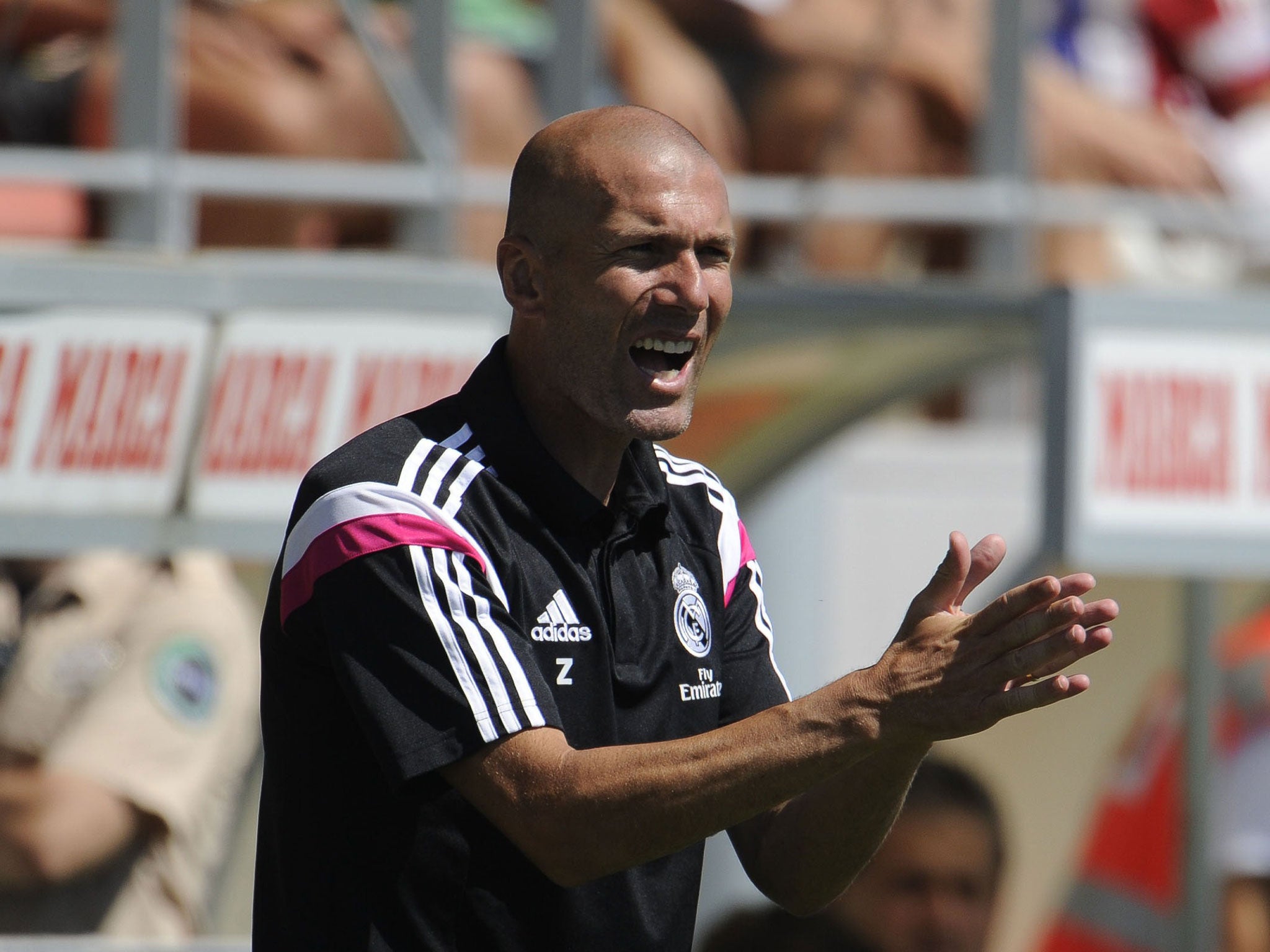 Zinedine Zidane could be Real's next coach