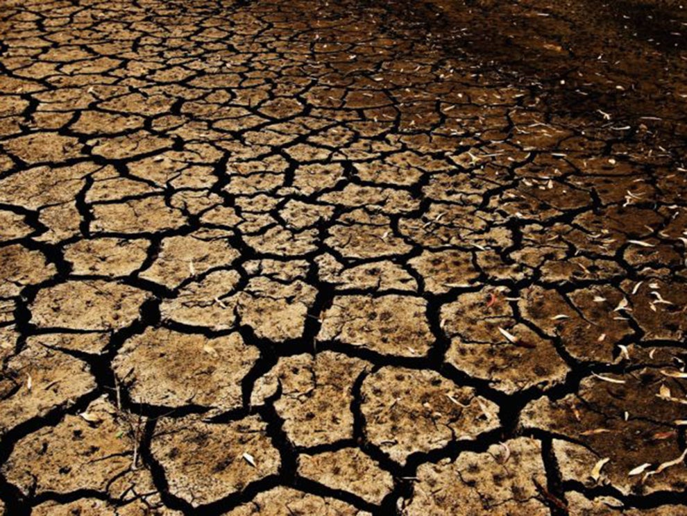 UK weather Britain must be prepared for 'worst droughts in modern
