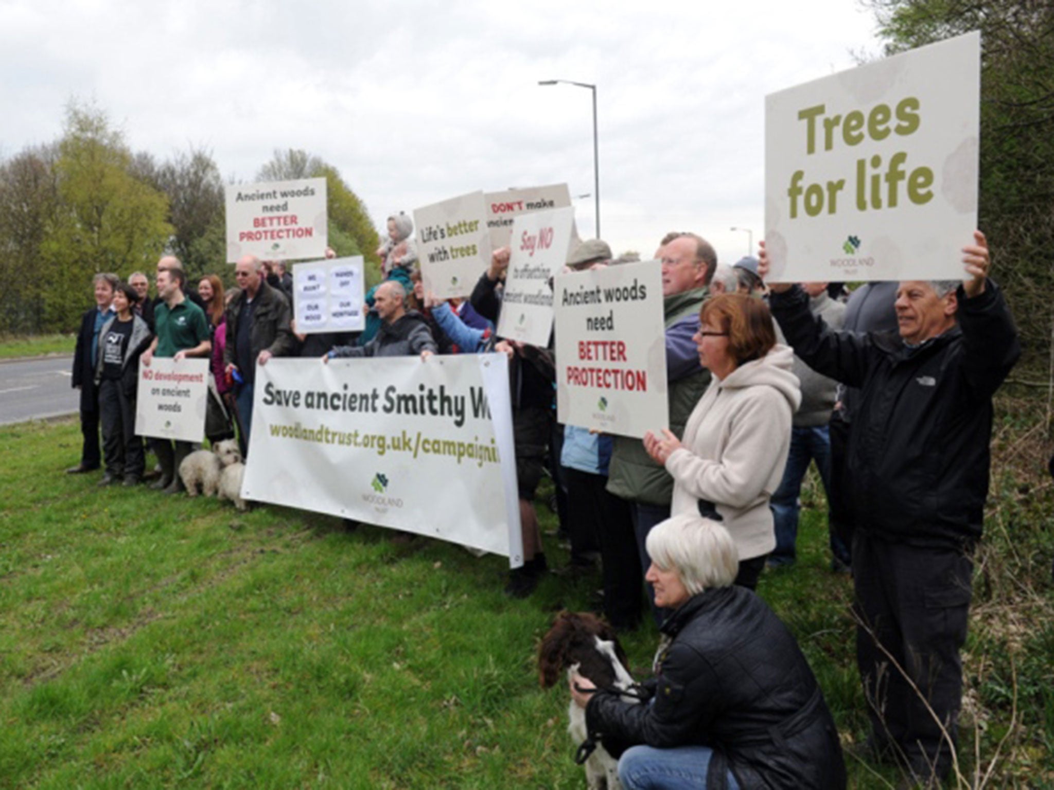The Cowley Residents Action Group will this week ask Sheffield City Council to protect Smithy Wood as a village green
