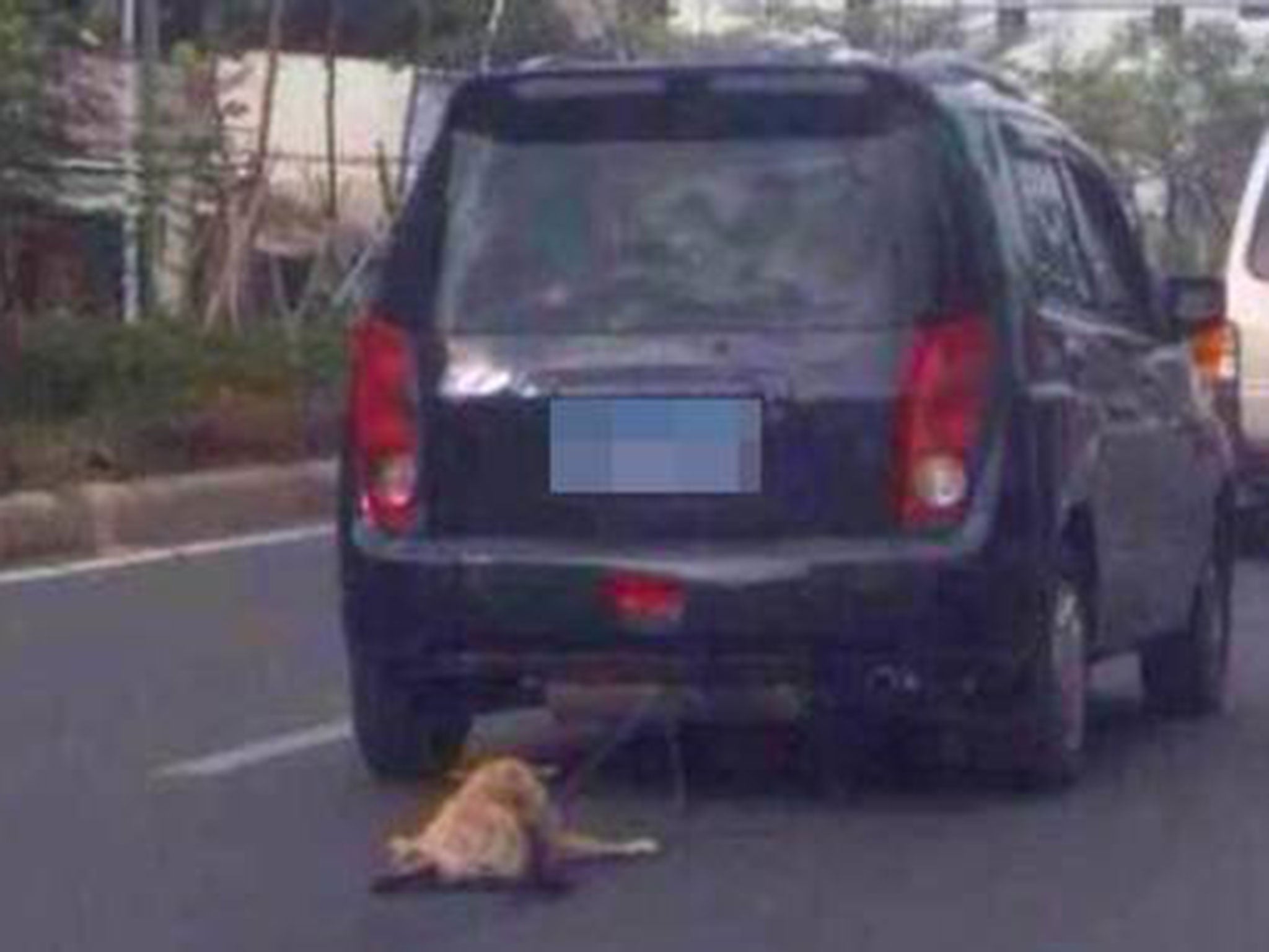 Images were uploaded onto Weibo of the dog being dragged by the car in Guangdong province