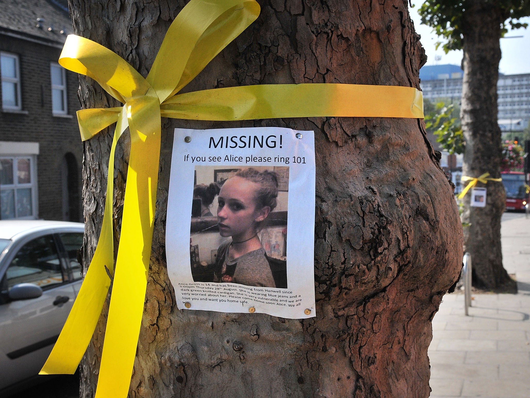 A missing persons poster, requesting for information following the disappearance of 14-year-old Alice Gross from Hanwell, is accompanied by yellow ribbons in Hanwell town centre in west London. The hunt for Alice Gross, who went missing on 28 August is no
