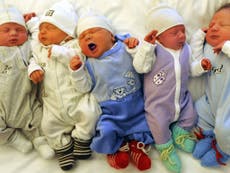 EU's Erasmus study abroad programme is 'responsible for 1m babies'