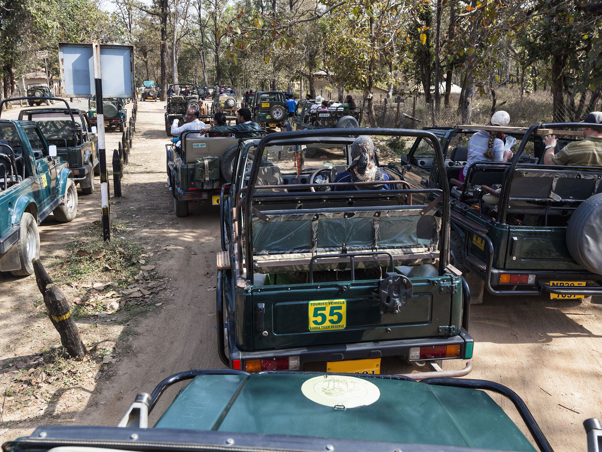 Madhya Pradesh - the tourist state where a critically ill young man says he was assaulted by police who he says poured petrol and chilli powder on his genitals