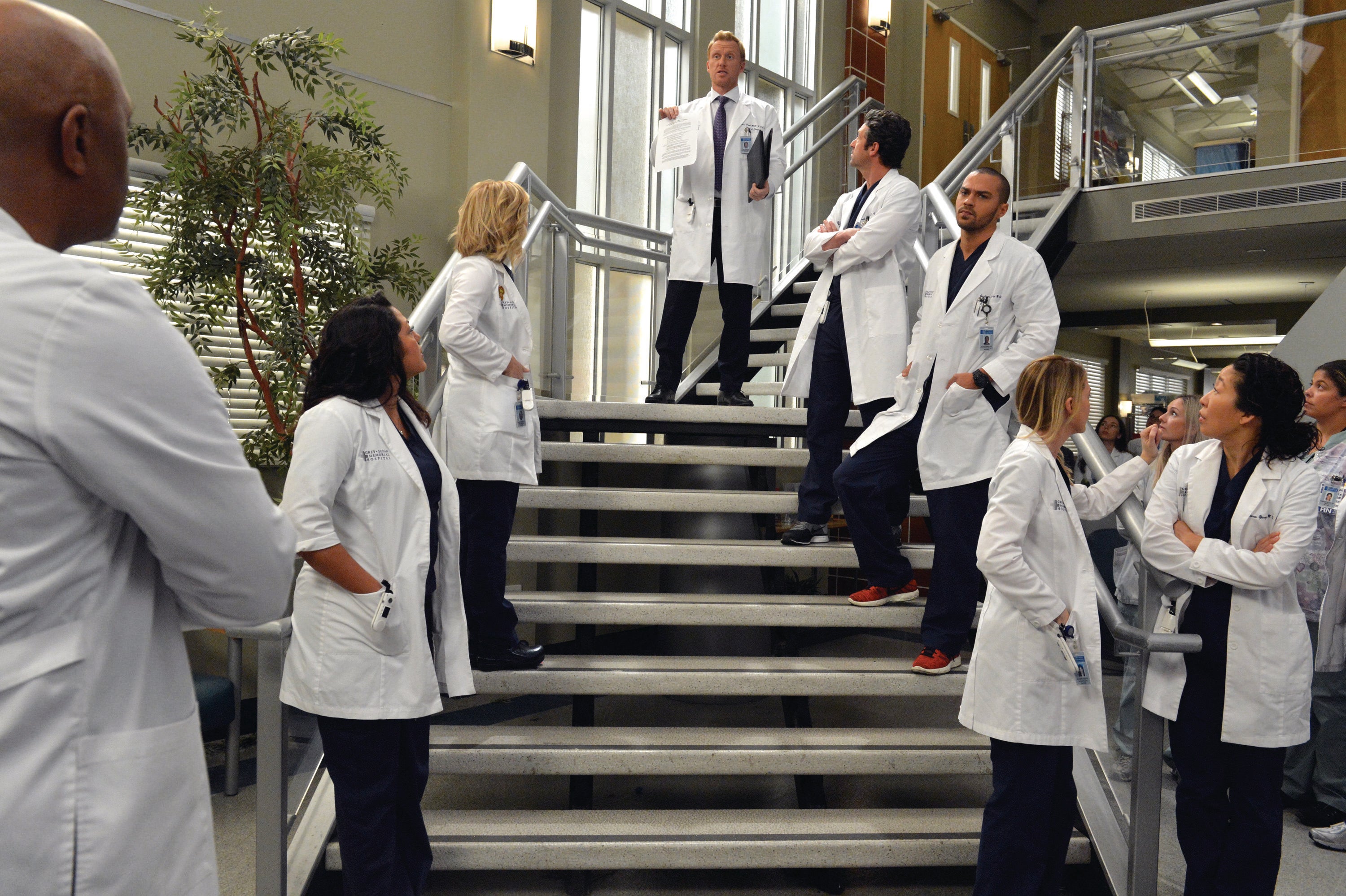 Grey's Anatomy (Credit Eric McCandless / ABC)