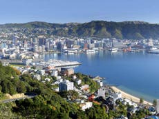 Wellington: Arty, indie, and more than a little bit Hobbity