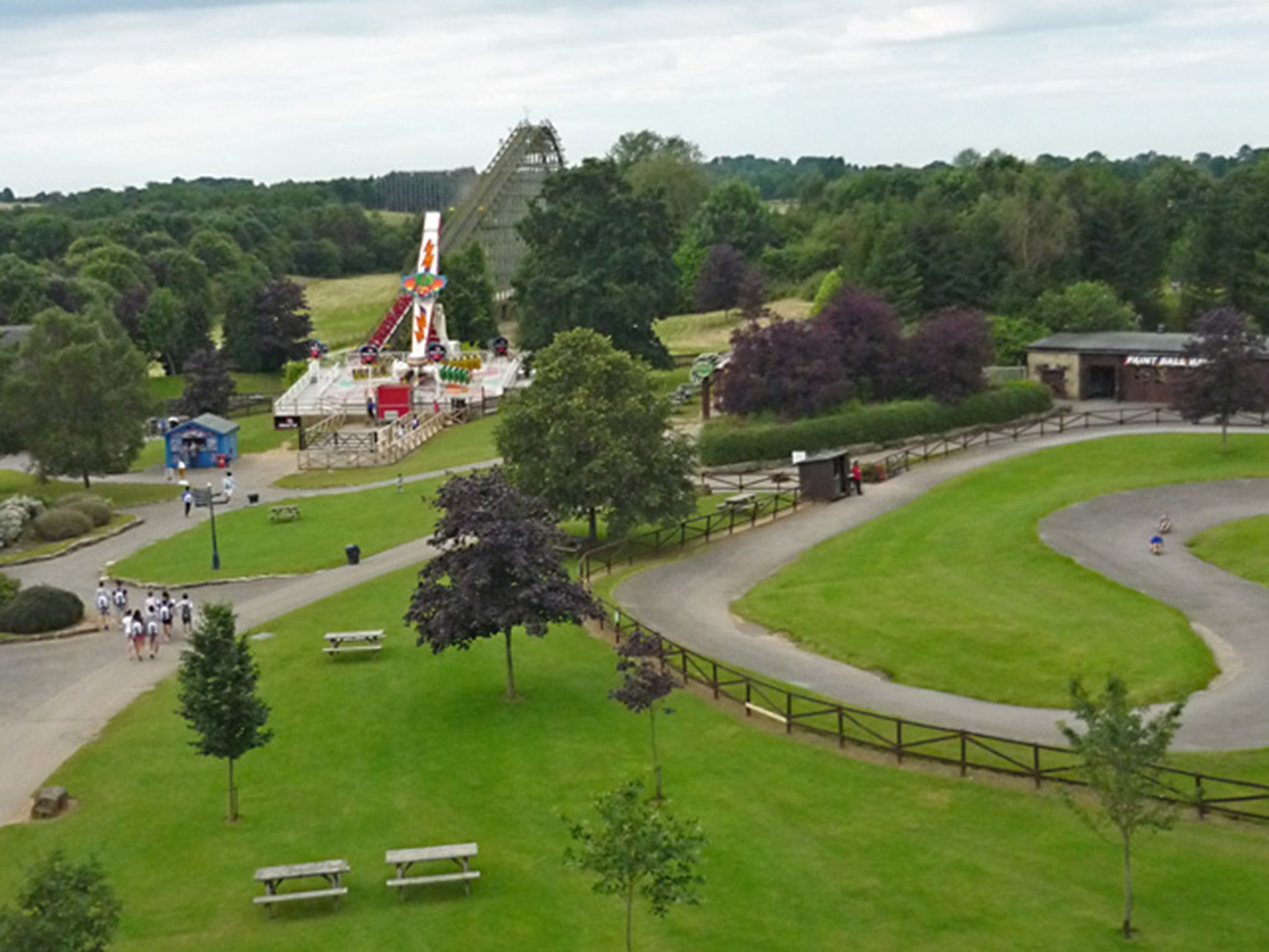 A deer was killed instantly after straying too close to the tracks of The Ultimate rollercoaster at Lightwater Valley