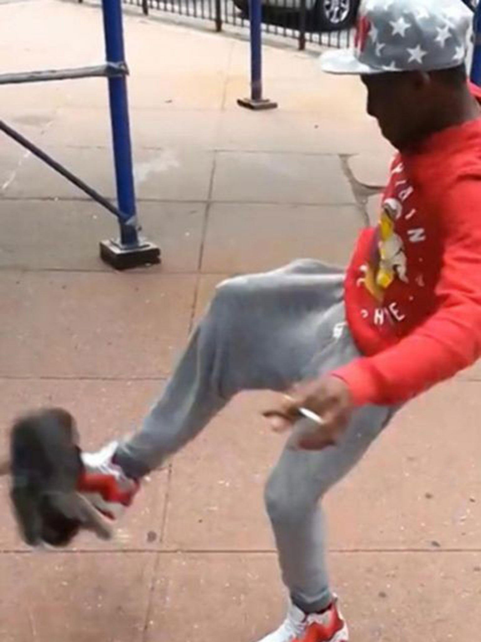 Andre Robinson caught on video kicking the cat