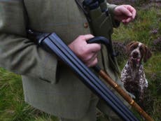 Grouse shooting 'is warming planet'