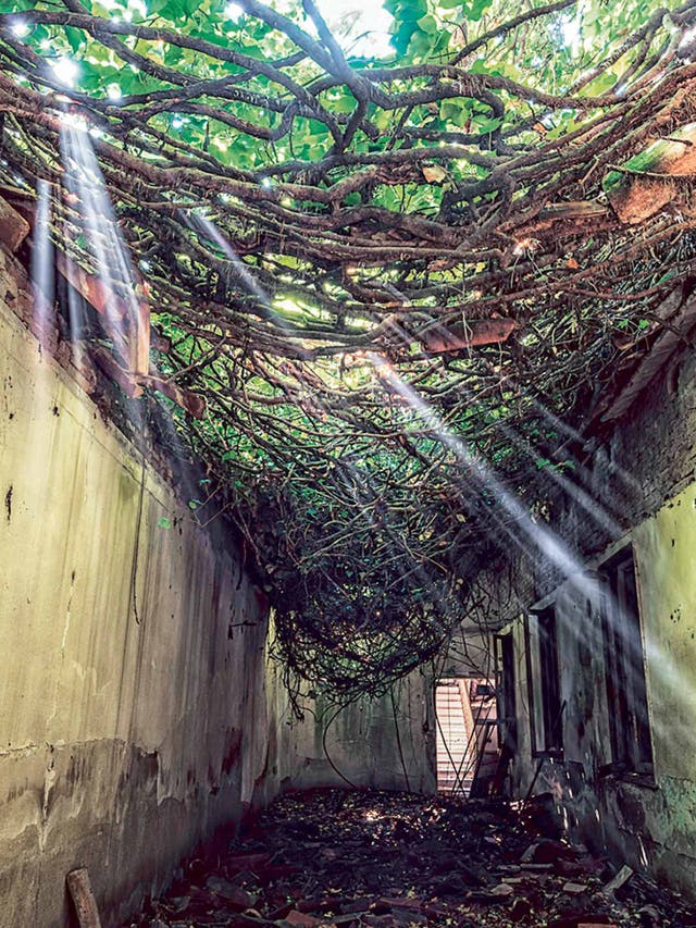 the beauty of derelict buildings gina soden the independent the independent