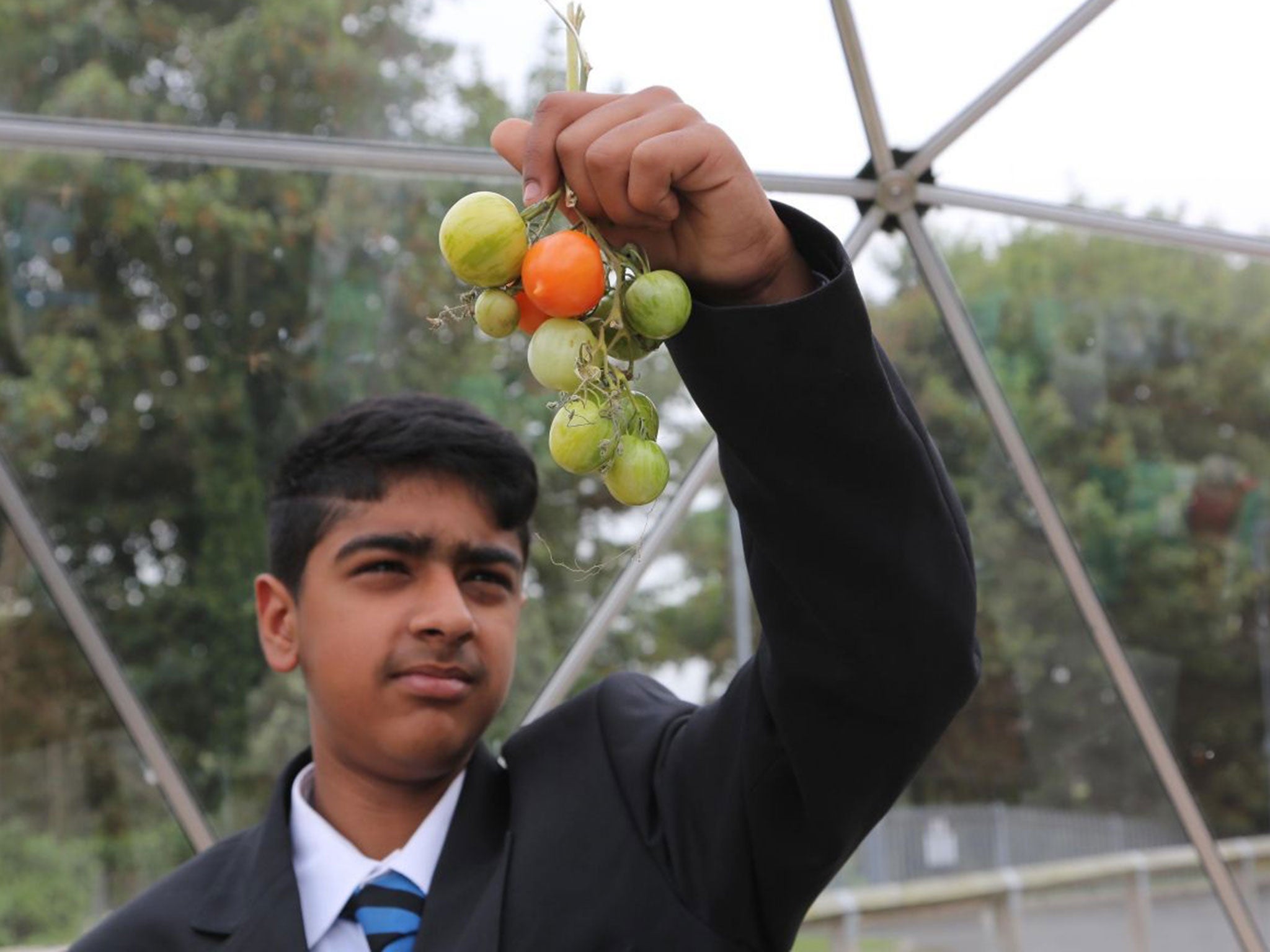 Cressex School in High Wycombe, Bucks. Year 9 students with the Eco Unit where they grow their own food