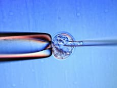 Scientists genetically modify DNA of human embryo