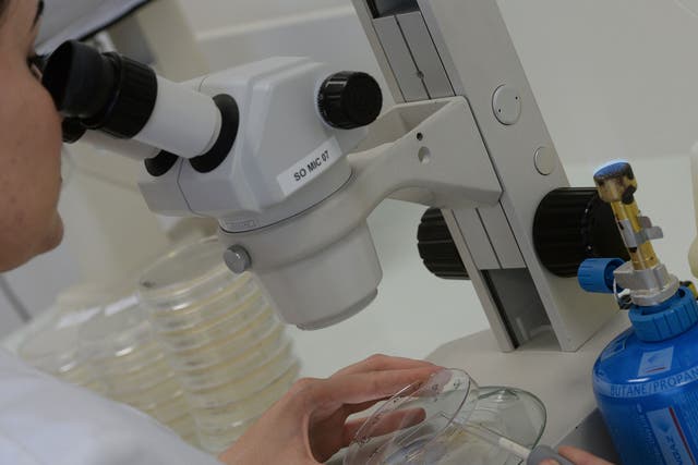 A researcher looks at a sample in a lab