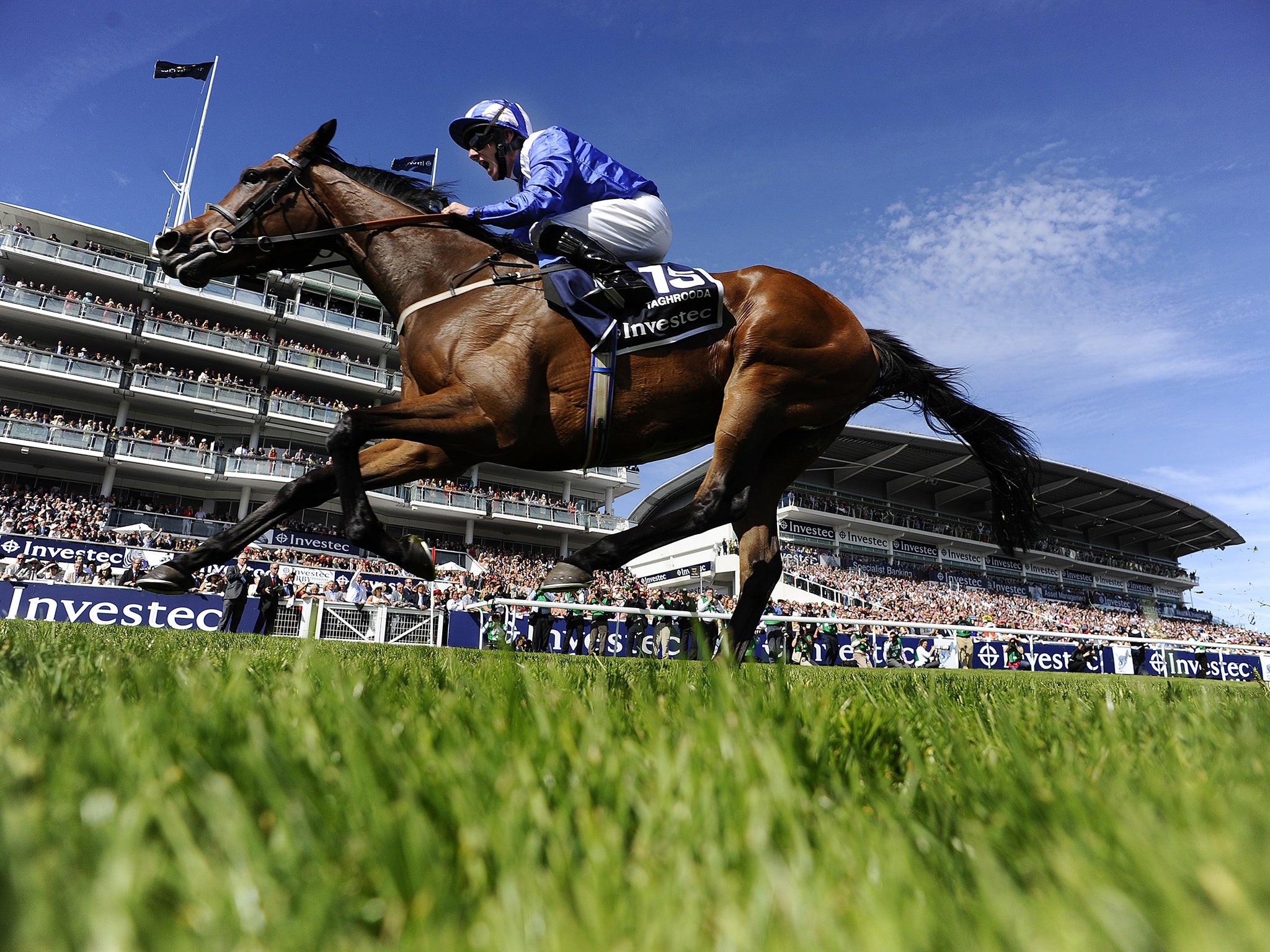 Taghrooda was one of the biggest losers at yesterday’s draw
