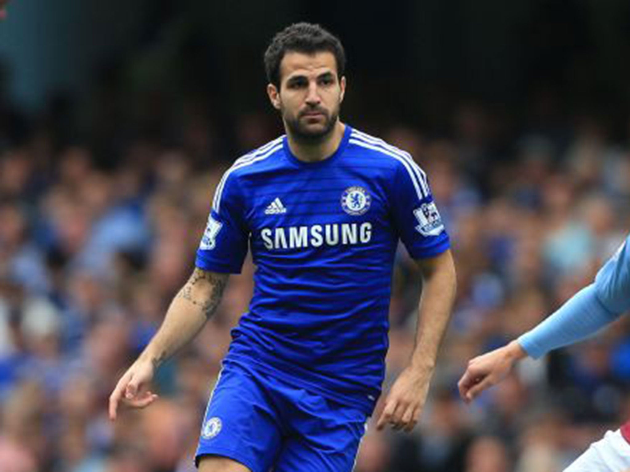 Midfielder Cesc Fabregas has proved the model professional since joining Chelsea (PA)