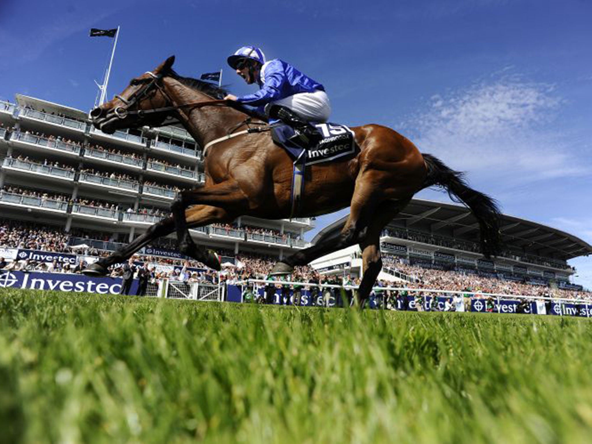 Riding high: Experienced jockey Paul Hanagan and the feisty Taghrooda storm to victory in this year’s Derby