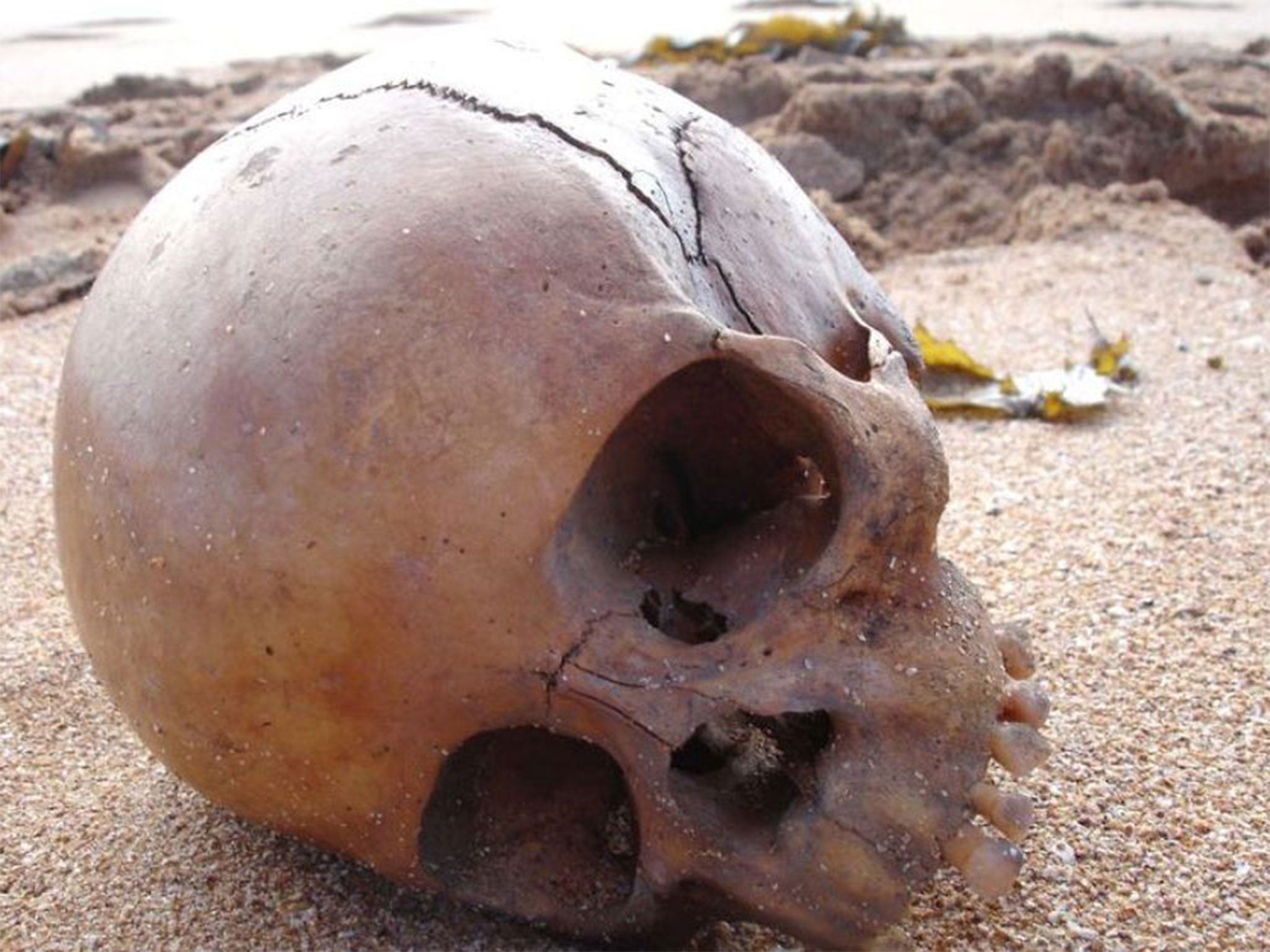The skull of a child, believed to be 1,000-years-old, was discovered on Mona Vale beach, in Sydney, in 2008