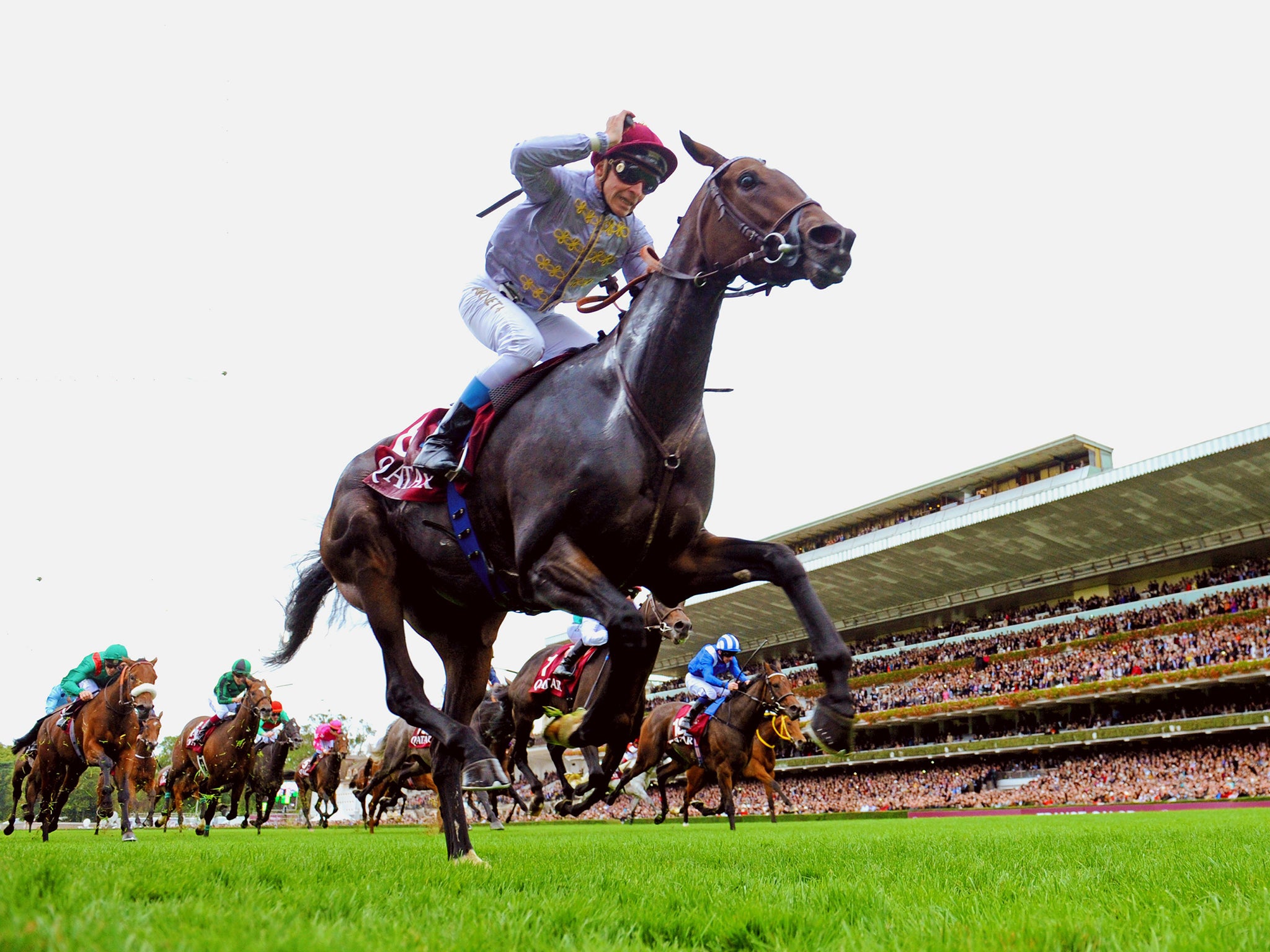 Treve, ridden by Thierry Jarnet, wins l’Arc de Triomphe
for the second year running yesterday at Longchamp