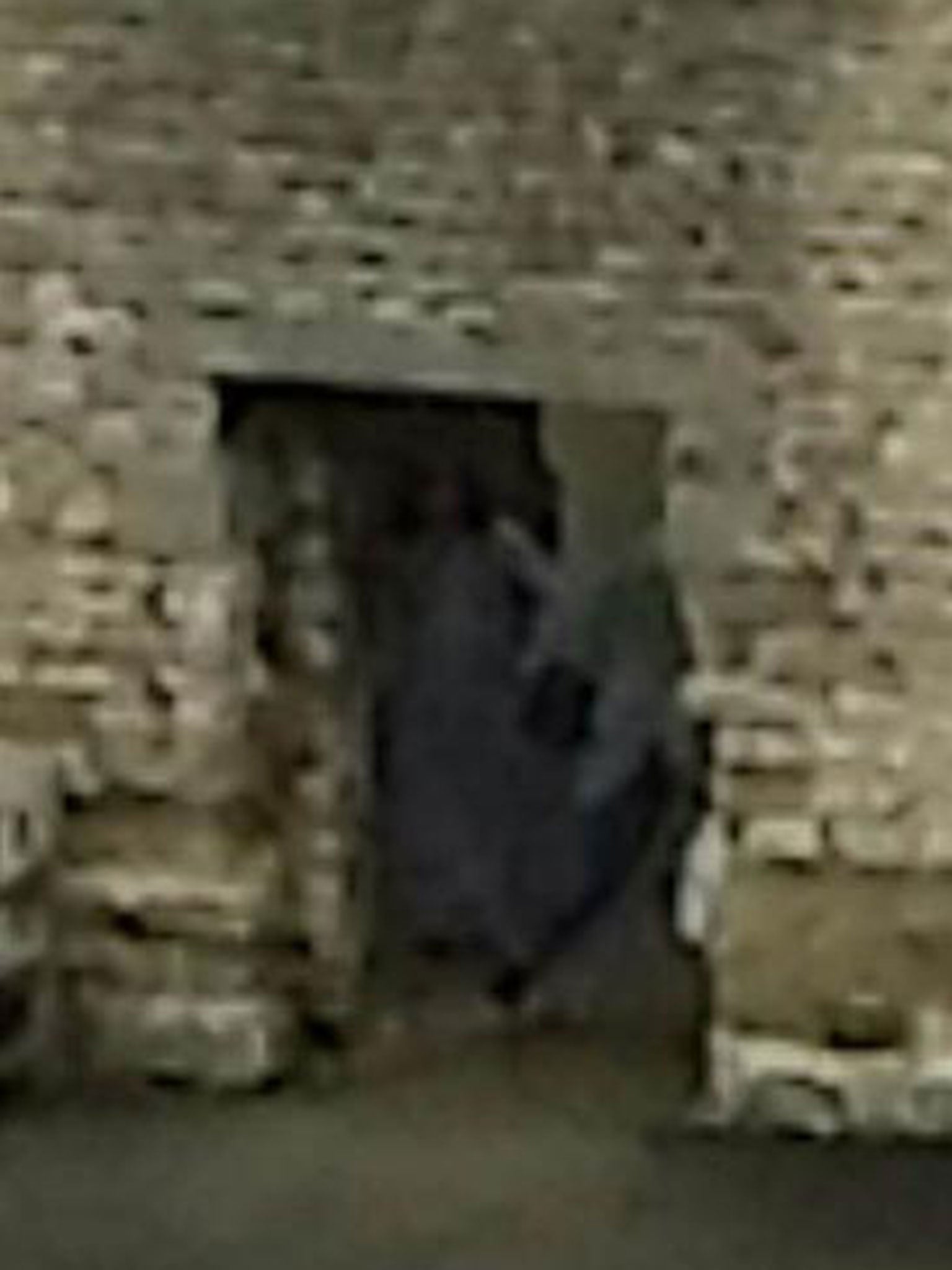 A couple’s photograph of Dudley Castle appeared to show a ghostly figure in an archway