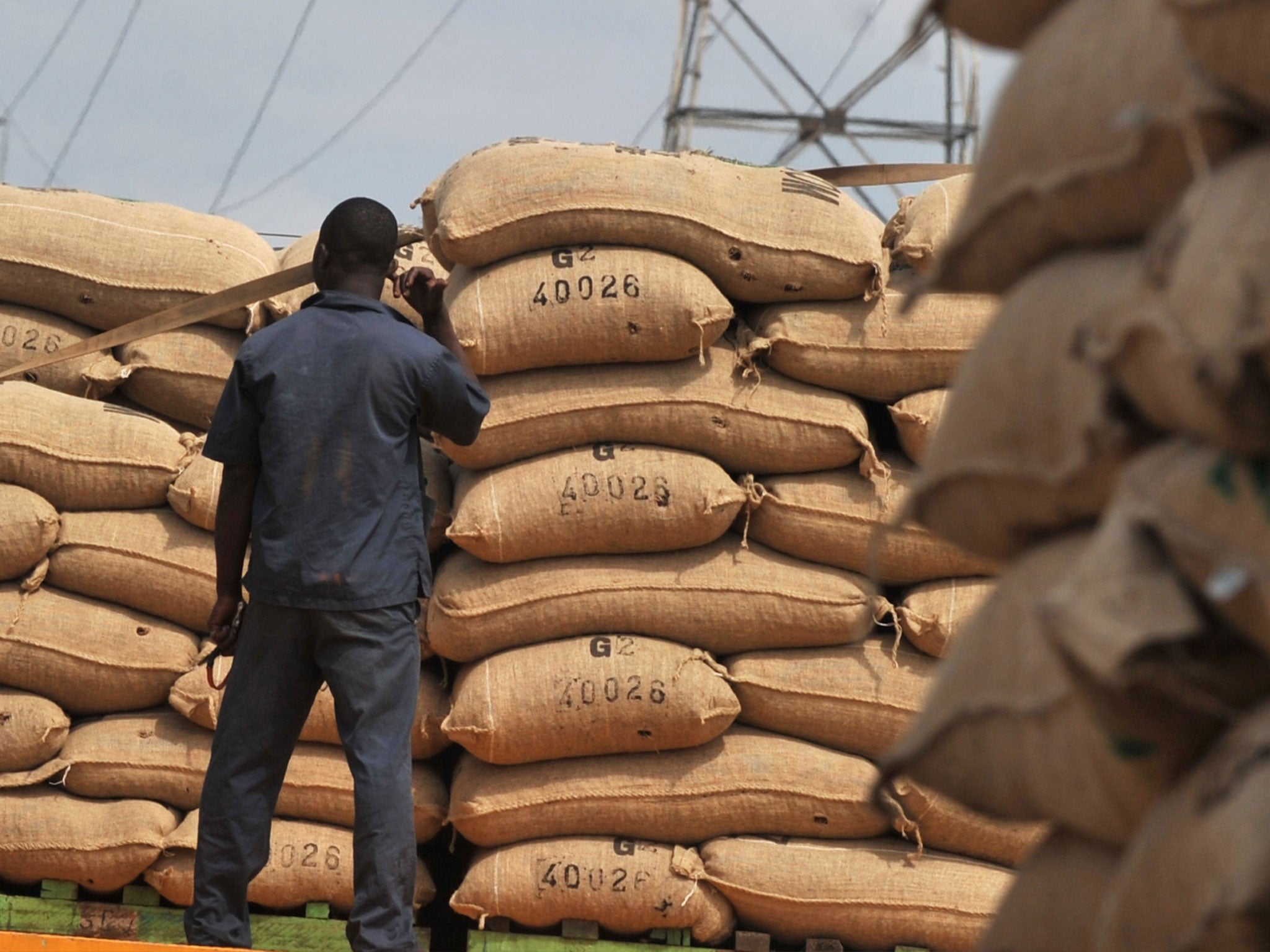 Traders are fretting over cocoa supply if Ebola reaches top producer Ivory Coast