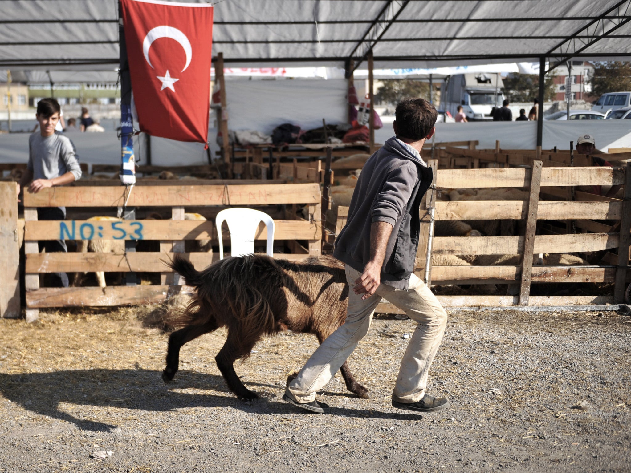 A man holds a ram that will be sacrificed for the Muslim holiday of Eid al-Adha, at a market in Istanbul