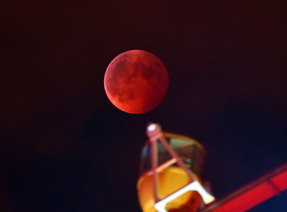 A total lunar eclipse is seen behind a ferris wheel in Tokyo
