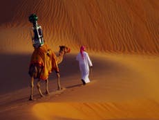 Google sending its Street View cameras to the desert... on camels