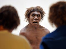 Neanderthals might have contracted diseases from early humans