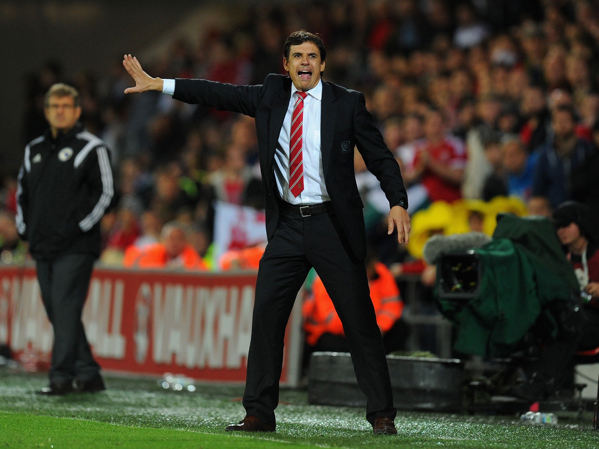 Wales manager Chris Coleman thanked the fans for their support