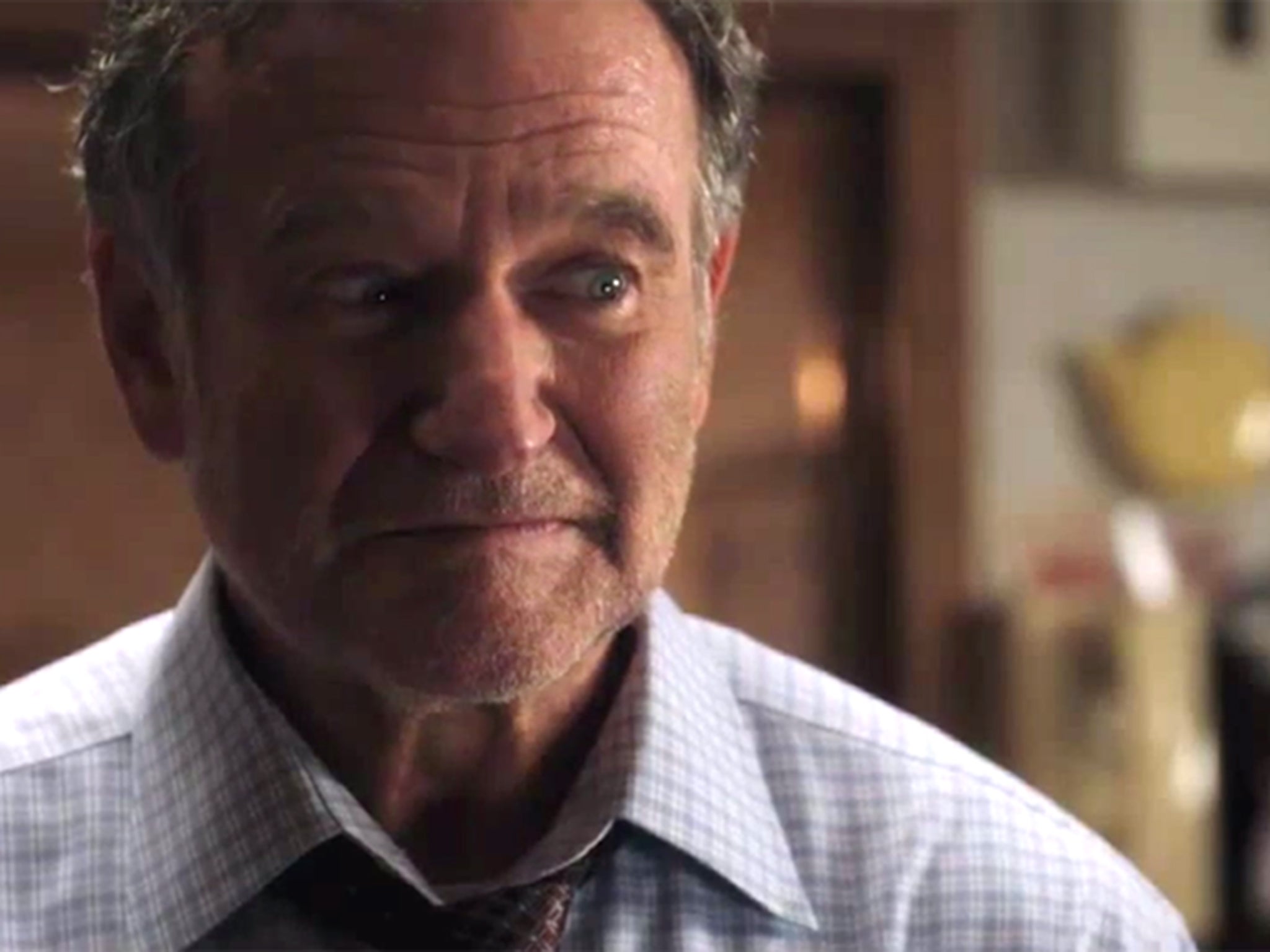 Robin Williams as the grumpy father Mitch