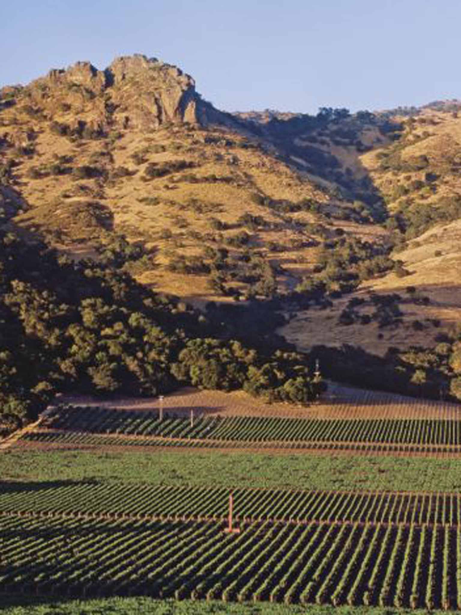 Grape escape: Stag's Leap Vineyard, California