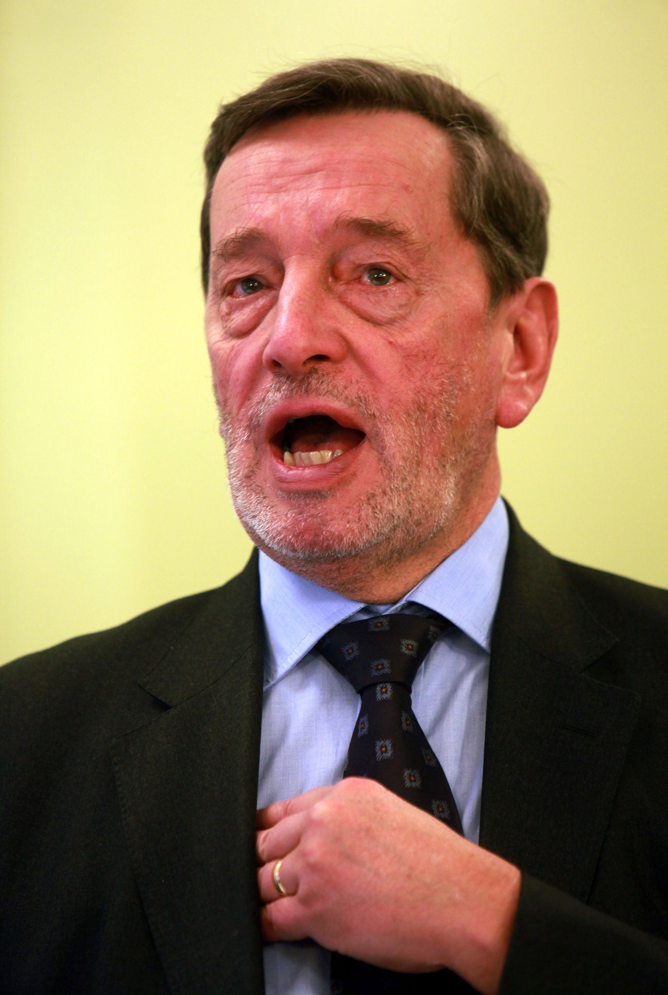 Mr Blunkett said he favoured the setting up of a government fund that would allow state schools to buy into expertise in the private sector