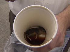 Dead mouse 'found in McDonald's coffee' in Canada