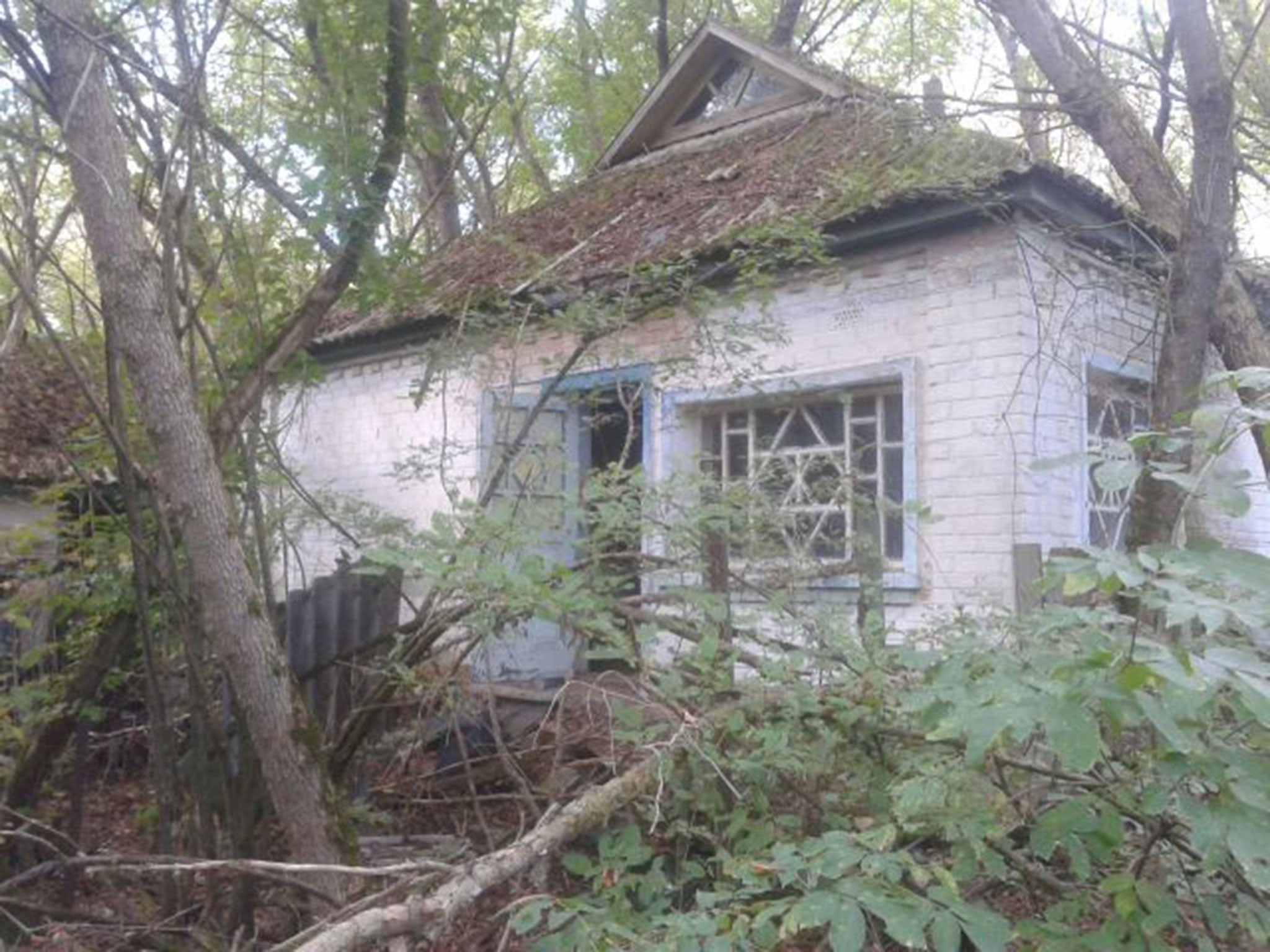 Overgrown: An abandoned village house